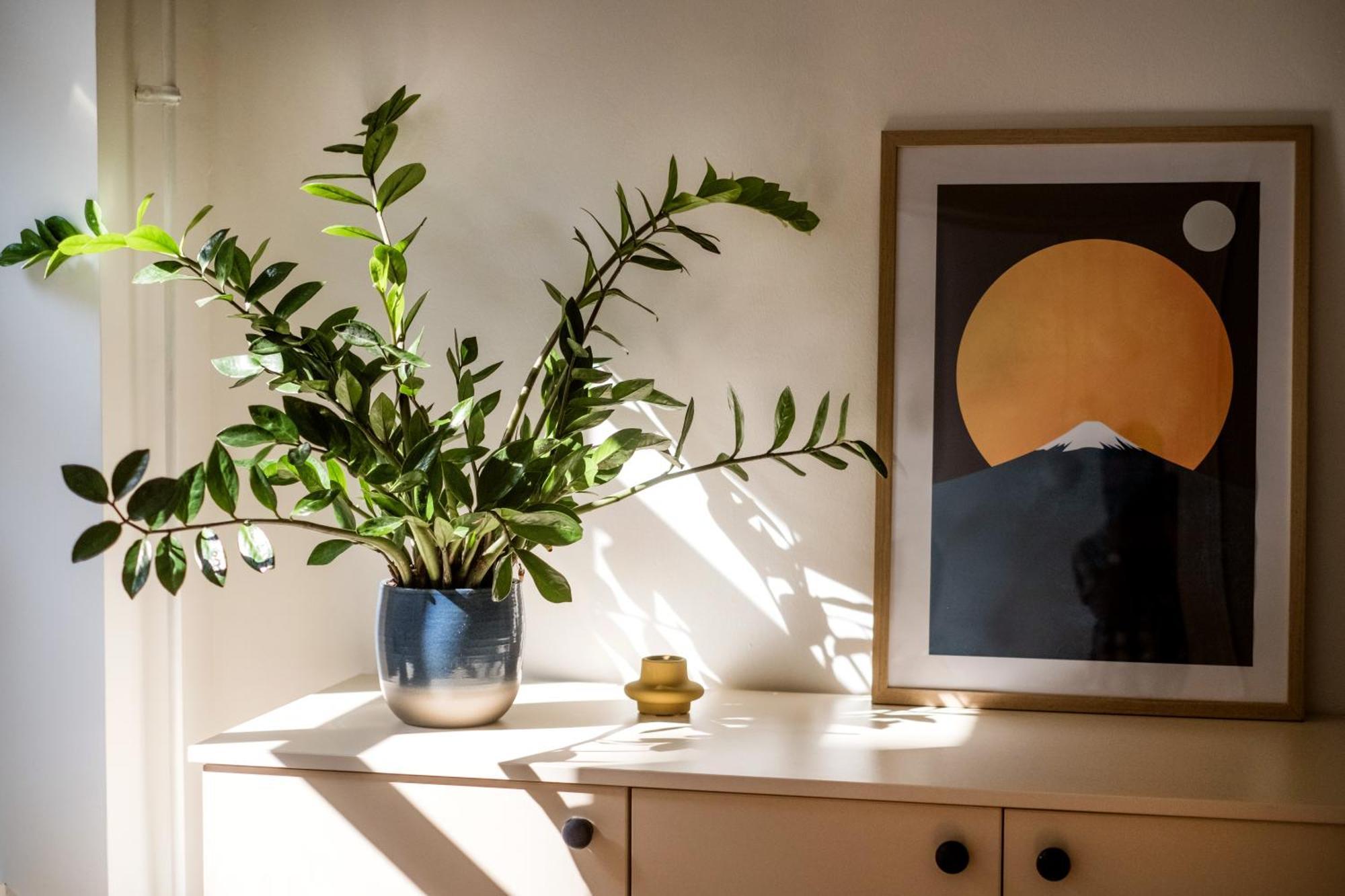Artistic Apartment In City Centre بودابست المظهر الخارجي الصورة